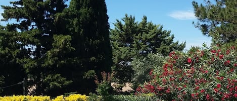 Vue de la terrasse