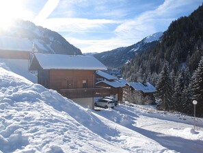 Chalet in winter (rear)