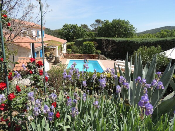 Villa and pool seen from enclosed gardens 