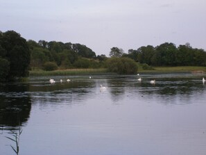 Scenic view of Rahans Lake