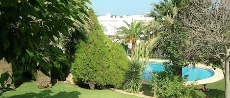 View from our patio to the pool