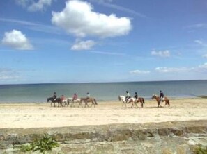 Blick auf den Strand