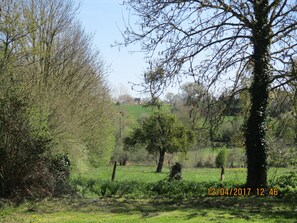 View at rear over our fields