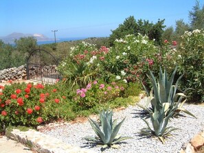 Entrance and one of the many borders