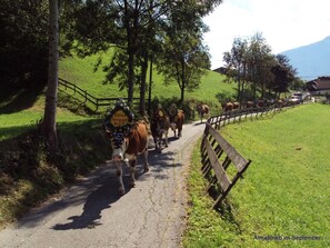 Terrenos do alojamento