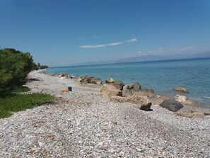 The beach in frond of the house. 