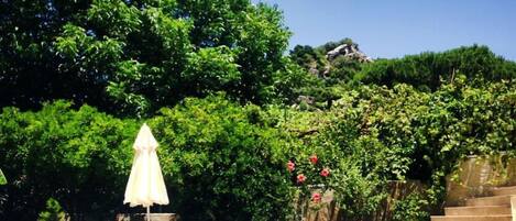 Part of the garden and the Taurus mountains stretching into the sea