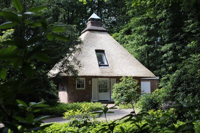 Exclusively furnished, quaint cottage with thatched roof in Bremen 