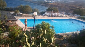 olympic size pool , pool bar and sea view 