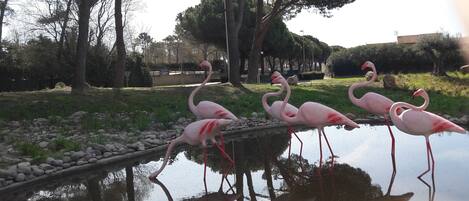 Jardines del alojamiento