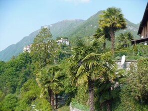 Boendeområde
