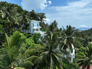 Coconuts surround Villa Melo, and you'll wake up to singing birds.