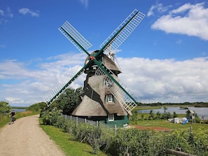 Mühle Chalotte im Naturschutzgebiet Geltinger Birk