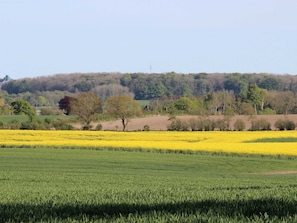 Angeln in der Rapsblüte