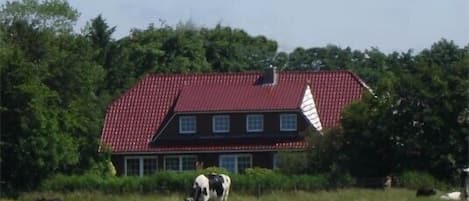 Udendørsområde