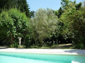 Pool 8x4 m und Garten zur freien Verfügung unserer Gäste