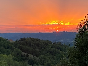 Vista desde la propiedad