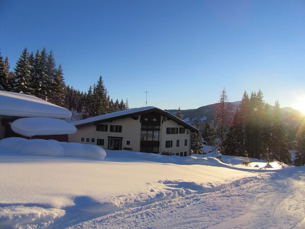 Exteriör