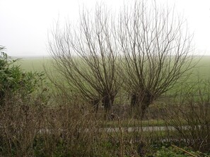 Blick aus dem Fenster