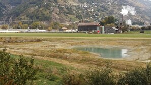 Landwirtschaftsgebiet und Biotop in der Grosseye
