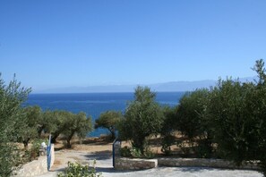 Ausblick von der Terrasse