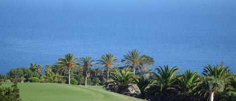 Luxusvilla - Am Balkon des Atlantik