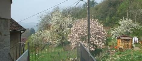 Terraço / Varanda