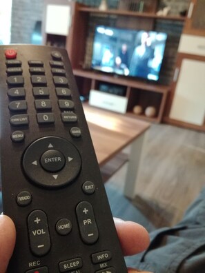 Television