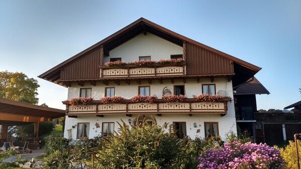 Exteriör