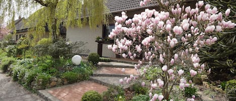 Frühling in Bad Zwischenahn