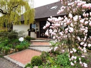 Frühling am Heiderosenweg