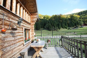 Terrasse des Casa Rubinul Craiului/ Haus am Fluss