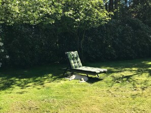 Boendeområde