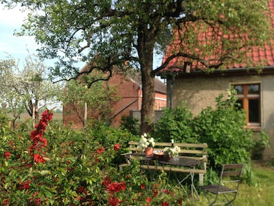Holiday on the Hollerhof in Oderbruch