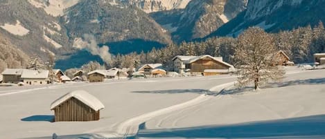 Esportes de neve e esqui