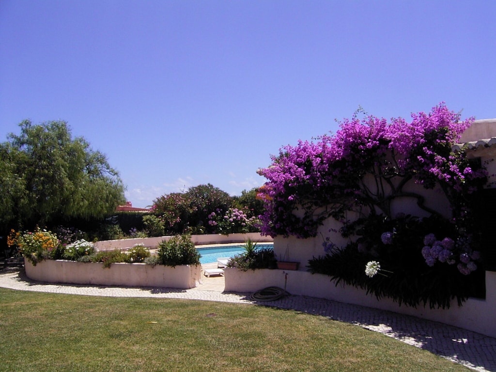 Picture of villa