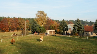 Ferienwohnung auf kleinem Bauernhof in Außenlage