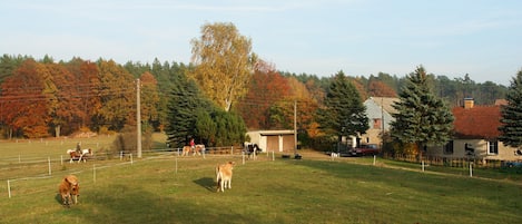 Bauernhof in Außenlage