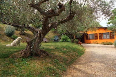 Fonte Pecorale "la Stalla" "Oasis de descanso y relajación" y piscina climatizada