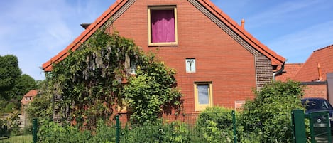 Wisteria am Haus