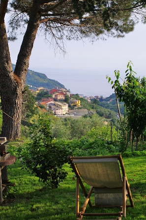 Garten mit Meerblick