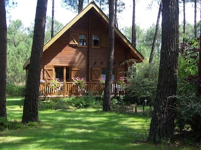Cozy wooden house in a quiet forest location - pure relaxation in nature