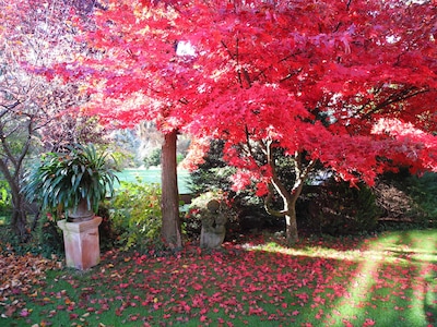 Atelierwohnung in verträumtem und ruhigen Garten in unmittelbarer Seenähe