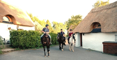 Thatched cottage / 200 year old farm house