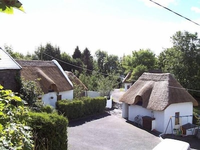 Thatched cottage / 200 year old farm house