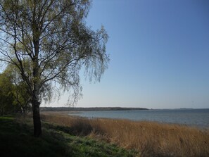 Natur- Radweg am Wasser bis Stahlbrode zur Rügen-Fähre