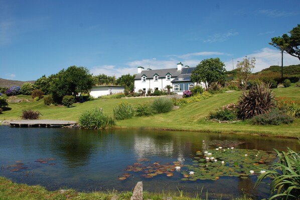 View from the garden