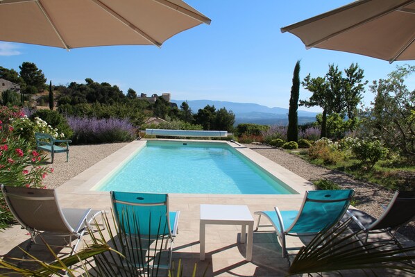 The swimming pool and its landscape