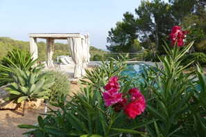 pool with sea view