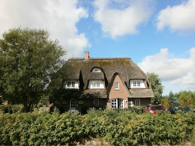 Holidays under a thatched roof - Absolutely quiet and well-kept apartment with balcony